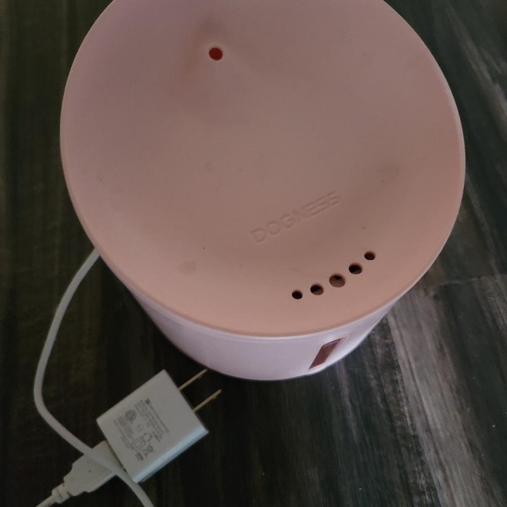 Dogness feeder and fountain